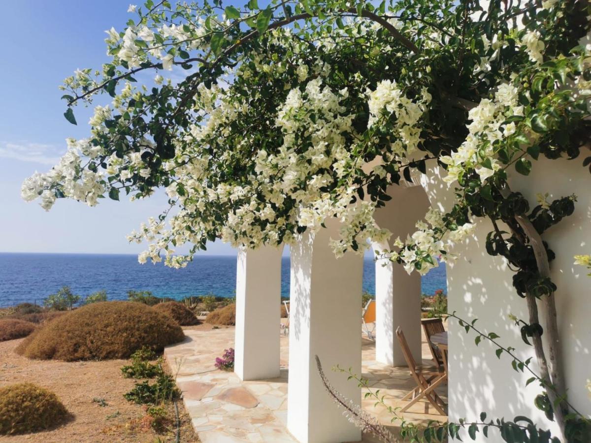 Villa Bravo Karpathos Buitenkant foto